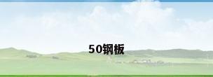 50钢板