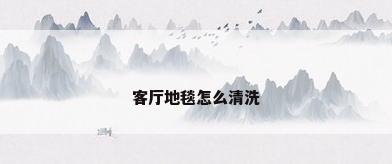 客厅地毯怎么清洗