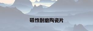 磁性耐磨陶瓷片