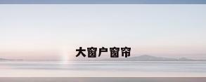 大窗户窗帘