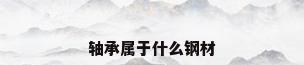 轴承属于什么钢材