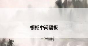 橱柜中间隔板