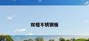 双相不锈钢板