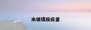水玻璃反应釜