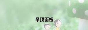吊顶面板