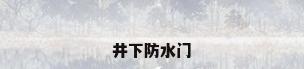 井下防水门