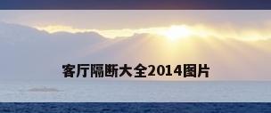 客厅隔断大全2014图片