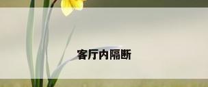 客厅内隔断