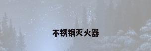 不锈钢灭火器