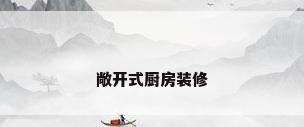敞开式厨房装修