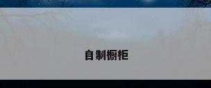 自制橱柜