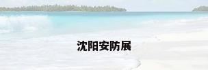 沈阳安防展