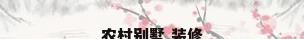 农村别墅 装修