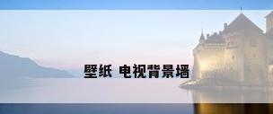 壁纸 电视背景墙
