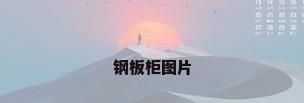 钢板柜图片