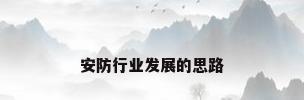 安防行业发展的思路