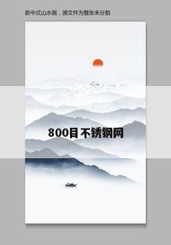 800目不锈钢网