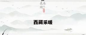 西藏采暖