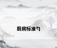 厨房标准勺