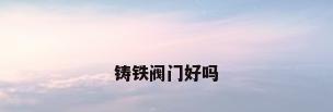 铸铁阀门好吗