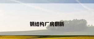 钢结构厂房翻新
