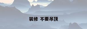 装修 不要吊顶