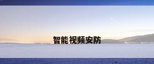 智能视频安防