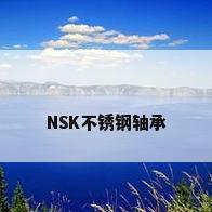NSK不锈钢轴承