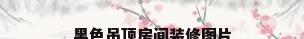 黑色吊顶房间装修图片