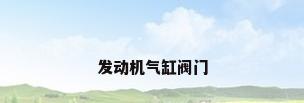 发动机气缸阀门