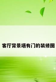 客厅背景墙有门的装修图