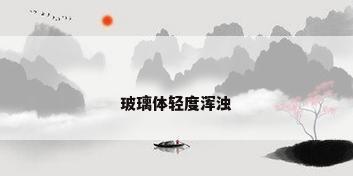 玻璃体轻度浑浊