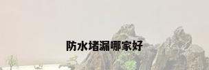 防水堵漏哪家好