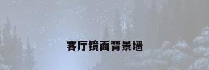 客厅镜面背景墙