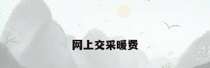 网上交采暖费