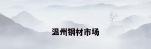 温州钢材市场