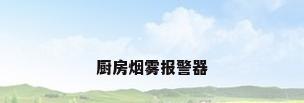 厨房烟雾报警器