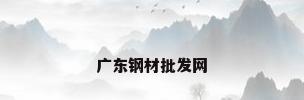 广东钢材批发网