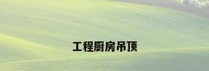 工程厨房吊顶