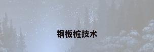 钢板桩技术