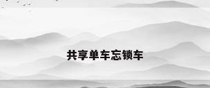 共享单车忘锁车