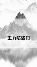 王力防盗门