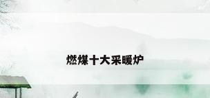 燃煤十大采暖炉