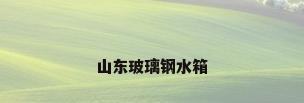 山东玻璃钢水箱