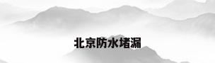 北京防水堵漏