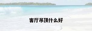 客厅吊顶什么好