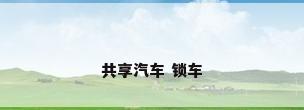 共享汽车 锁车