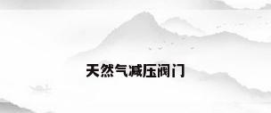 天然气减压阀门