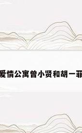 爱情公寓曾小贤和胡一菲