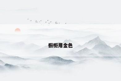 橱柜用金色